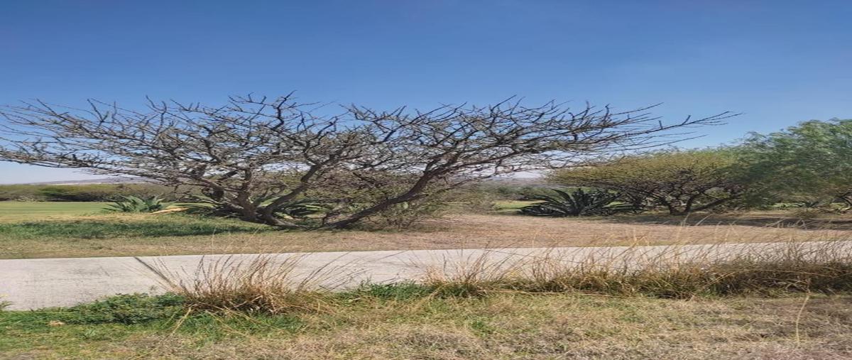 Terreno Habitacional en AMANALI Country Club Ná Propiedades