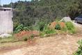 Foto de terreno habitacional en venta en 15 , lomas de zompantle, cuernavaca, morelos, 0 No. 02