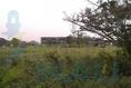 Foto de terreno habitacional en venta en  , 23 de noviembre, tuxpan, veracruz de ignacio de la llave, 1532665 No. 06