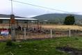 Foto de terreno industrial en venta en camino al platanal , canindo, jacona, michoacán de ocampo, 501253 No. 02
