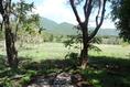 Foto de terreno habitacional en venta en campo san pablo , diego ruiz, yautepec, morelos, 6905362 No. 07
