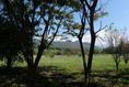 Foto de terreno habitacional en venta en campo san pablo , diego ruiz, yautepec, morelos, 6905362 No. 10