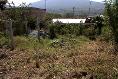 Foto de terreno habitacional en venta en lázaro cárdenas , canindo, jacona, michoacán de ocampo, 501849 No. 08