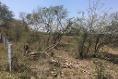 Foto de terreno comercial en venta en carretera tampico mante , agua de castilla (ejido), altamira, tamaulipas, 3462755 No. 07