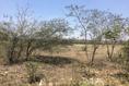 Foto de terreno comercial en venta en carretera tampico mante , agua de castilla (ejido), altamira, tamaulipas, 3462755 No. 07