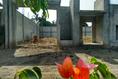 Foto de terreno habitacional en venta en  , cocoyoc, yautepec, morelos, 1354927 No. 01