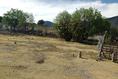 Foto de terreno habitacional en venta en ejido cuahutemoc , cuauhtémoc, saltillo, coahuila de zaragoza, 7119161 No. 04