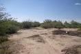 Foto de terreno comercial en venta en  , el olivo, matamoros, coahuila de zaragoza, 394976 No. 01