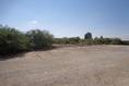 Foto de terreno comercial en venta en  , el olivo, matamoros, coahuila de zaragoza, 394976 No. 02