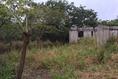 Foto de terreno habitacional en venta en guanajuato , petrolera lindavista, pueblo viejo, veracruz de ignacio de la llave, 2420645 No. 02