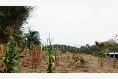 Foto de terreno habitacional en venta en el manguito , infonavit las granjas, tuxpan, veracruz de ignacio de la llave, 1826242 No. 01