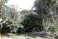 Foto de terreno habitacional en venta en  , isla de juana moza, tuxpan, veracruz de ignacio de la llave, 1658790 No. 07