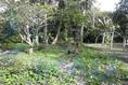 Foto de terreno habitacional en venta en  , isla de juana moza, tuxpan, veracruz de ignacio de la llave, 1658790 No. 08