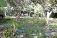 Foto de terreno habitacional en venta en  , isla de juana moza, tuxpan, veracruz de ignacio de la llave, 1658790 No. 11