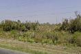 Foto de terreno habitacional en venta en  , tierra nueva (ejido), victoria, tamaulipas, 3593999 No. 04