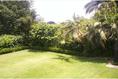Foto de casa en venta en palmira , palmira tinguindin, cuernavaca, morelos, 2777208 No. 03