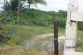 Foto de terreno habitacional en venta en  , palo blanco, tamiahua, veracruz de ignacio de la llave, 2367275 No. 04