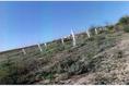 Foto de terreno comercial en venta en sin nombre lote 05, pozuelos de abajo, frontera, coahuila de zaragoza, 1454961 No. 02