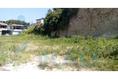 Foto de terreno habitacional en renta en  , túxpam de rodríguez cano centro, tuxpan, veracruz de ignacio de la llave, 2140808 No. 13