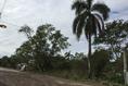 Foto de terreno habitacional en venta en violeta , anáhuac, pueblo viejo, veracruz de ignacio de la llave, 3584053 No. 02