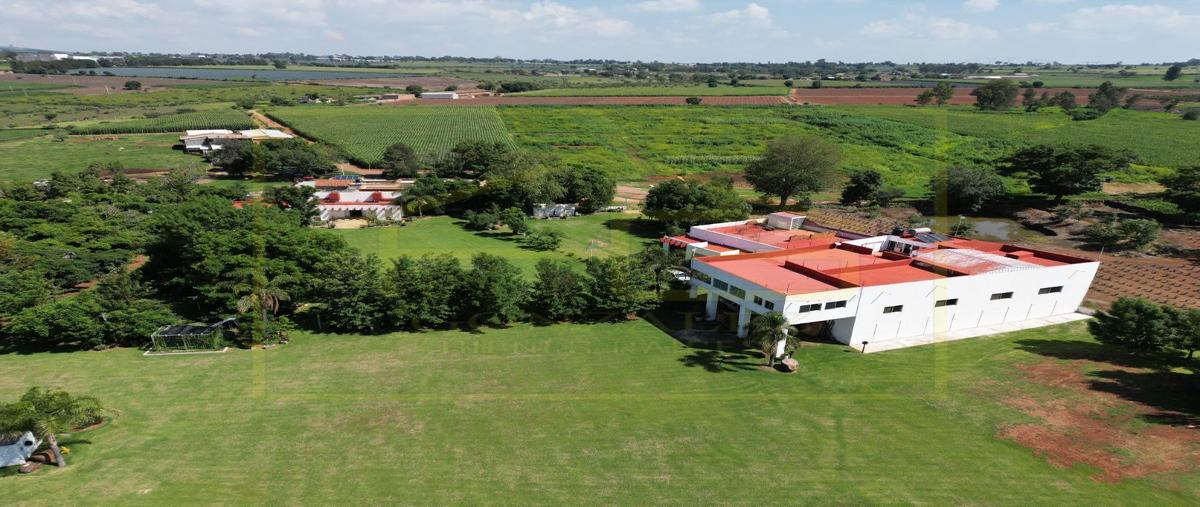 Rancho en Alameda, Tepatitlán de Morelos..., Alam...