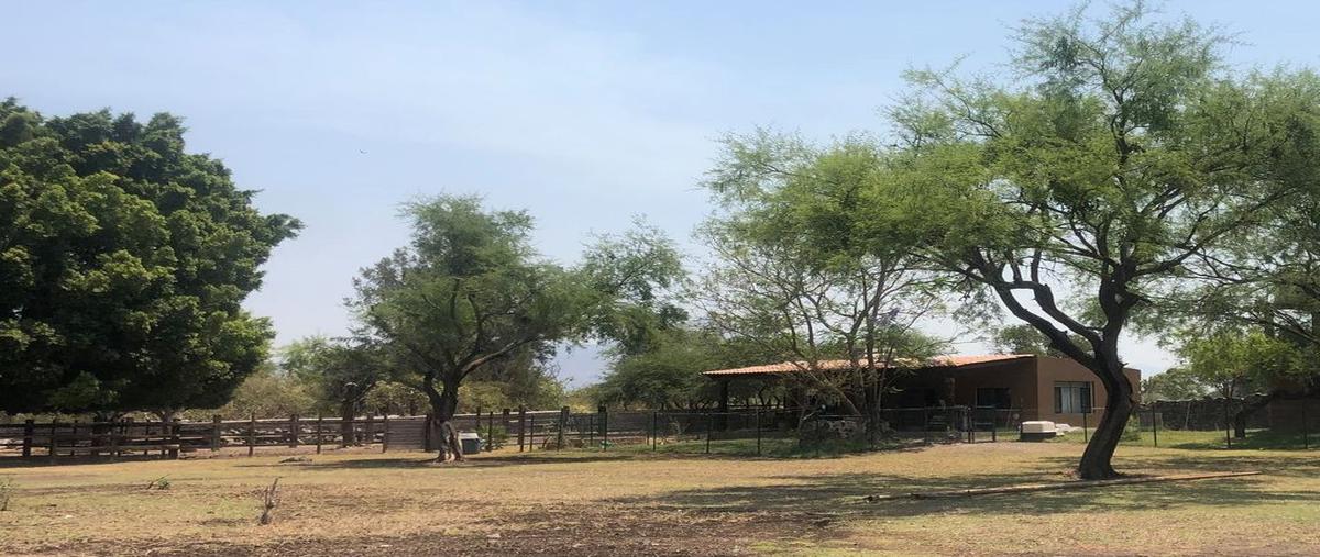 Rancho en Brecha a Teocuitatlan, Atoyac, Jalisco ... 