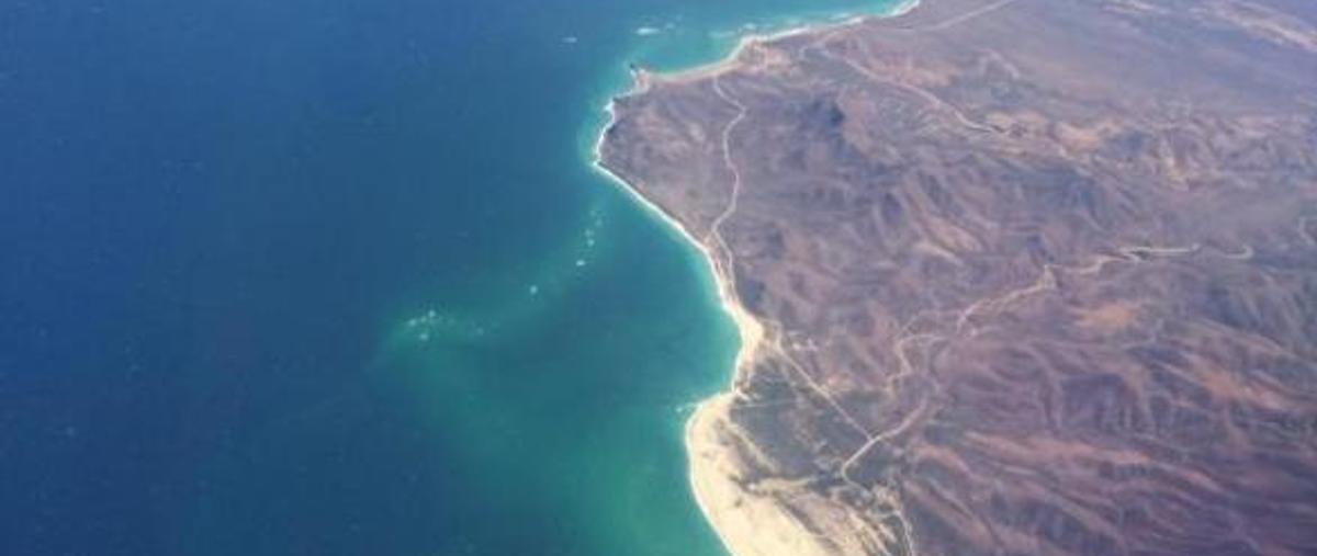 Journey To Cabo Pulmo: Baja California Sur