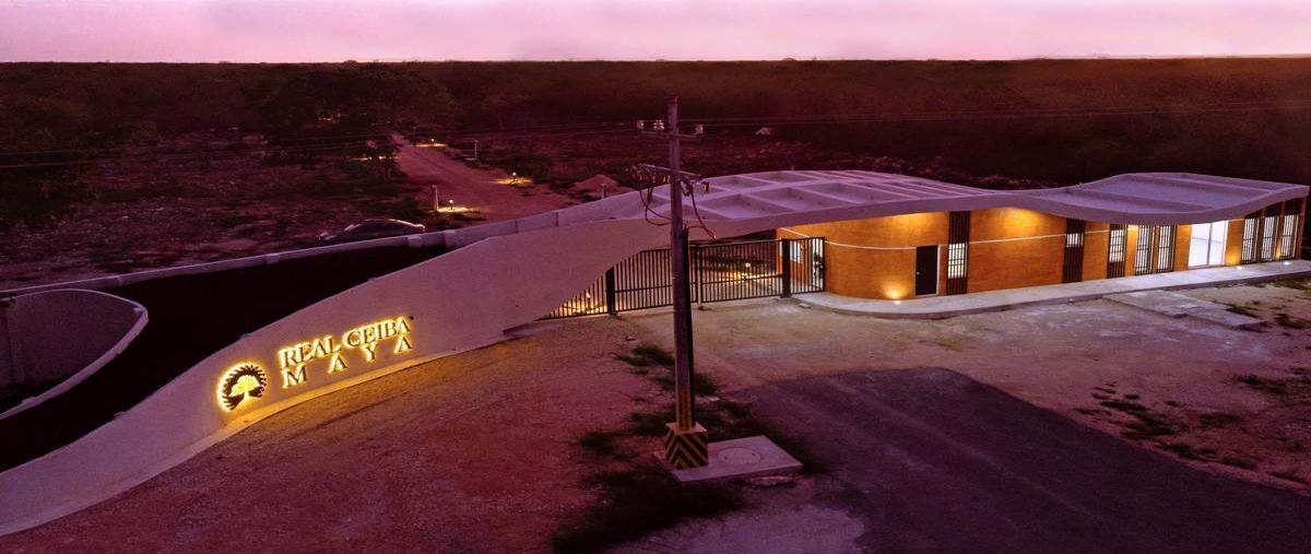 Terreno Habitacional en Chicxulub, Chicxulub Pueb...