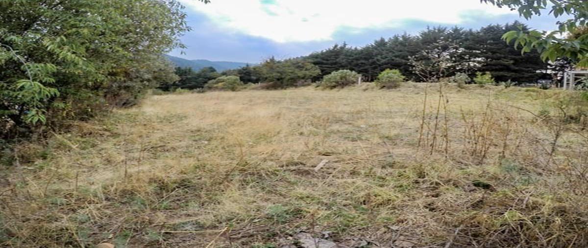 Terreno Habitacional en Desierto de los Leones, S... 