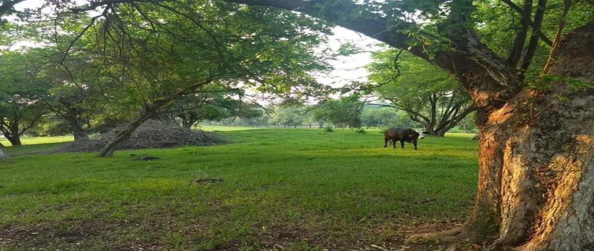 Rancho en EN VENTA RANCHO GANADERO, Villahermosa