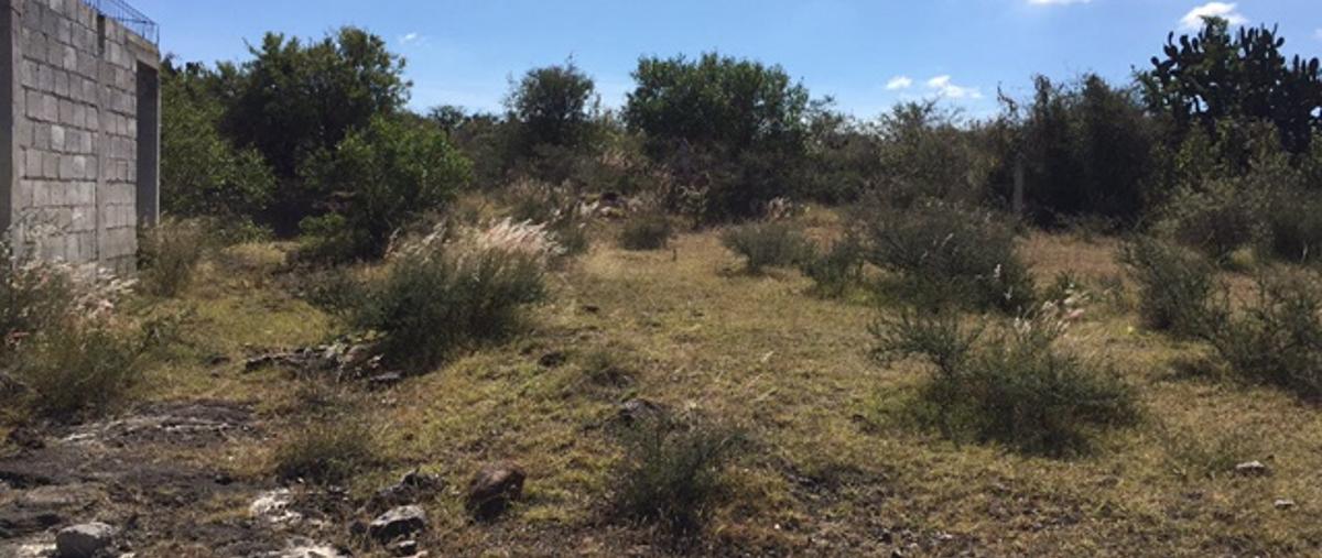 Rancho en LA BARRANCA GAMBOA, San Antonio Corrale... 