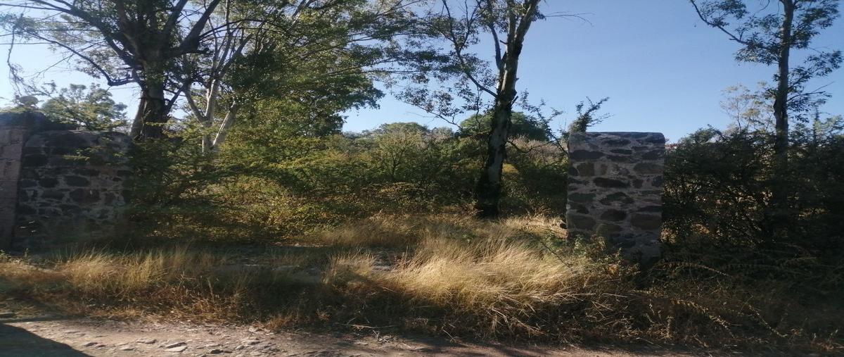 Terreno Habitacional en Los Cajones, Guanajuato