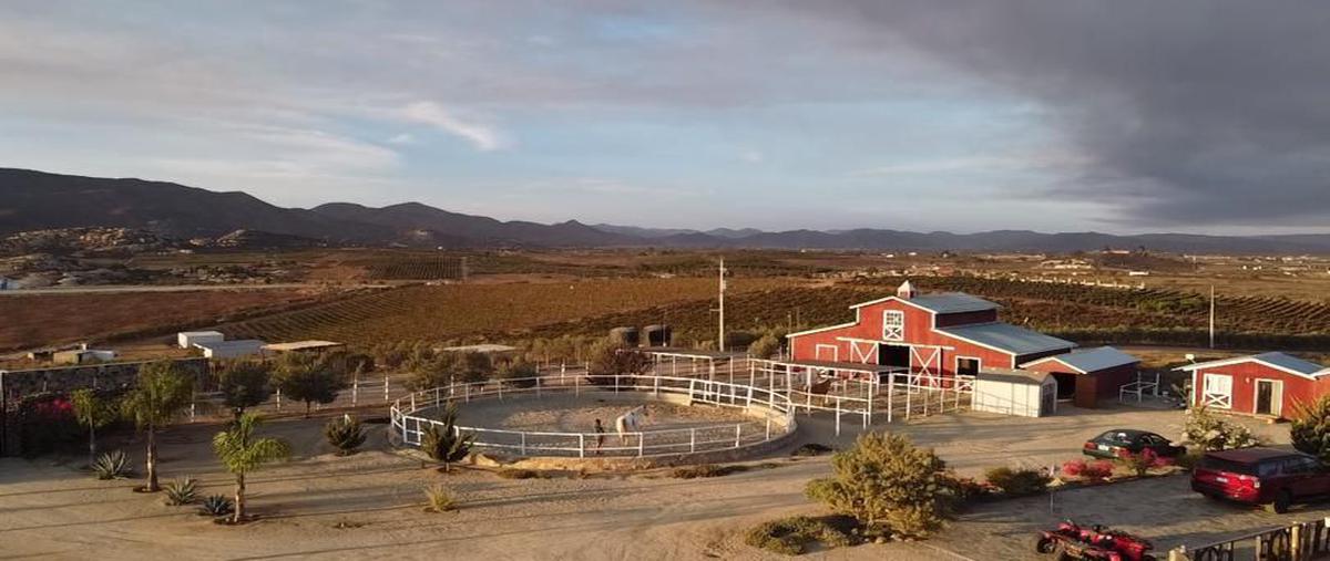 Rancho en Los pintos, Valle de San Quintín, Baja