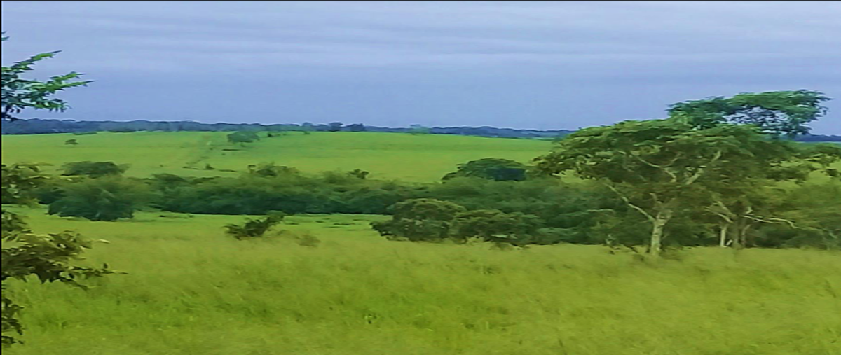Rancho en Ozuluama de Mascareñas, Veracruz en Ve...