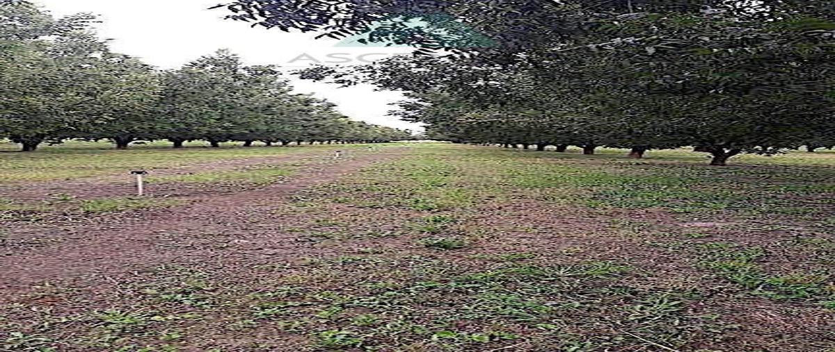 Rancho en Santa Rosalía, Camargo, Chihua..., Sant...