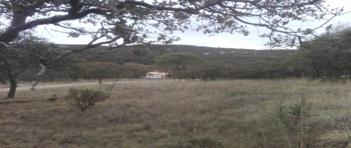 Terreno Habitacional en sierra de lobos, Barbosa ... 