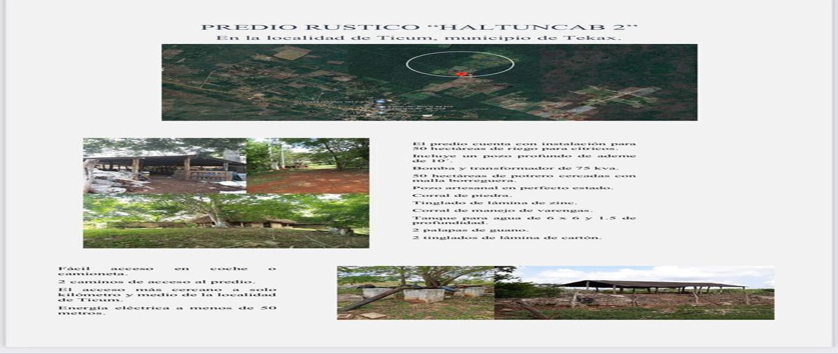Rancho en Ticum, Tekax, Yucatán, Ticum, Yucatán e...