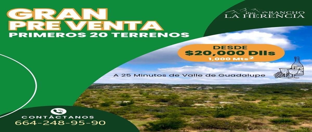 Rancho en Valle de Guadalupe, Ensenada,, Fran...