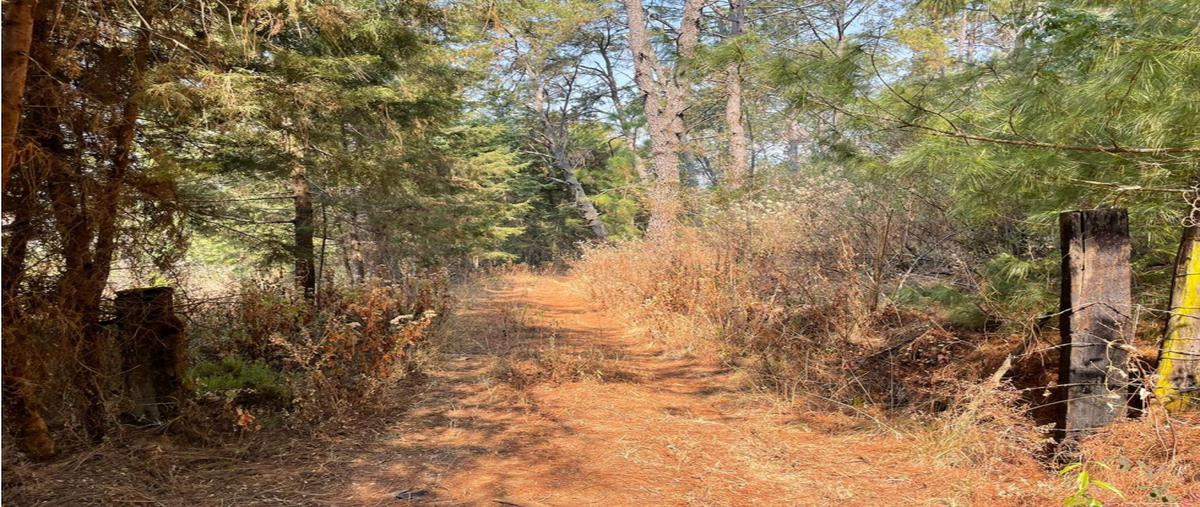 Terreno Habitacional en Zirahuen, Michoacán en V...