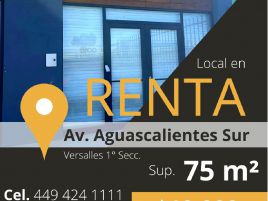 Foto de local en renta en Versalles 1a Sección, Aguascalientes, Aguascalientes, 25223792,  no 01