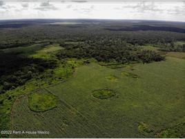 Foto de terreno comercial en venta en agro uno carretera federal 261, xcupil-cacab, hopelchén, campeche, 24681924 No. 01