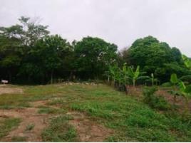 Foto de terreno habitacional en venta en camino de acceso 00, zapotal 2da. sección, comalcalco, tabasco, 0 No. 01