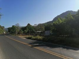 Foto de terreno comercial en renta en carretera nacional acapulco-méxico , los órganos de juan r. escudero, acapulco de juárez, guerrero, 0 No. 01