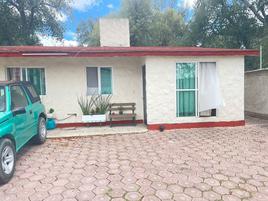 Foto de casa en renta en centro, apizaco, tlaxcala , centro, apizaco, tlaxcala, 0 No. 01