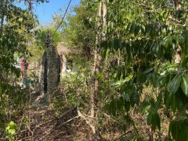 Foto de terreno habitacional en venta en Ciudad Chemuyil, Tulum, Quintana Roo, 25300067,  no 01