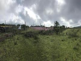 Foto de terreno industrial en venta en fraccionamiento villas del meson , real de juriquilla (diamante), querétaro, querétaro, 0 No. 01