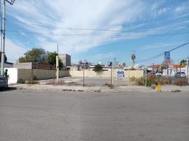 Foto de terreno habitacional en renta en luis encinas, hermosillo, sonora , luis encinas, hermosillo, sonora, 0 No. 01