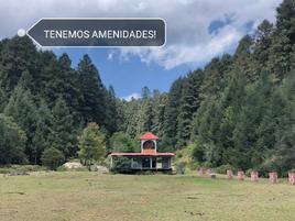 Foto de terreno habitacional en venta en monte popocatepetl 6754, pueblo nuevo, mineral del monte, hidalgo, 0 No. 01