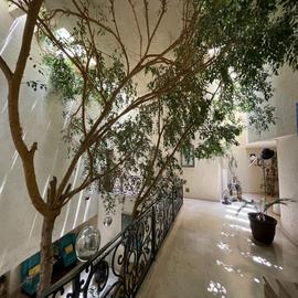 Foto de casa en renta en ahuehuetes norte , lomas de chapultepec ii sección, miguel hidalgo, df / cdmx, 25676299 No. 01