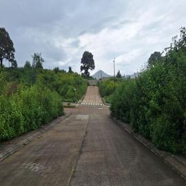Foto de Casa en Av. de los Pinos None, Juventino Rosas, Pátzcuaro, Michoacán de Ocampo, 28715350
